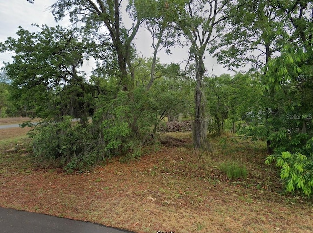 1 Woodash Ct, Homosassa, FL 34446