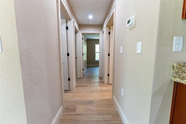23151 SW Rainelle Rd, Dunnellon, FL 34431 - photo 46