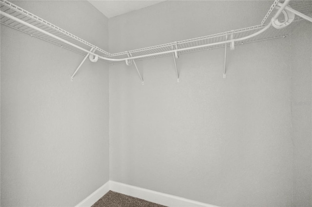 4065 SW 5th Ave, Ocala, FL 34471 - photo 26
