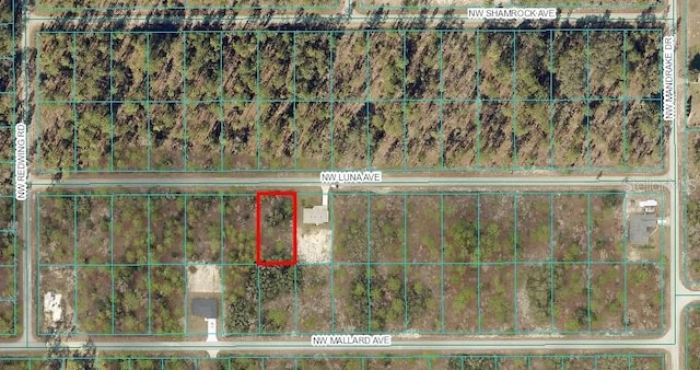 LOT7 NW Luna Ave, Dunnellon, FL 34431 - photo 2
