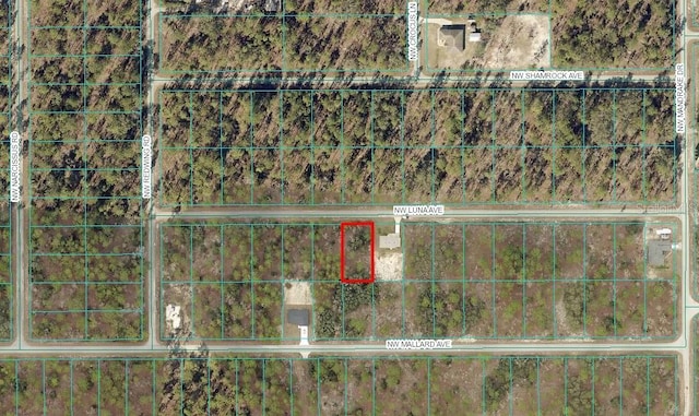 LOT7 NW Luna Ave, Dunnellon, FL 34431 - photo 3