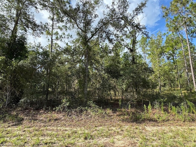 LOT7 NW Luna Ave, Dunnellon, FL 34431 - photo 5