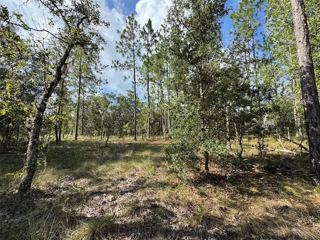 LOT7 NW Luna Ave, Dunnellon, FL 34431 - photo 6