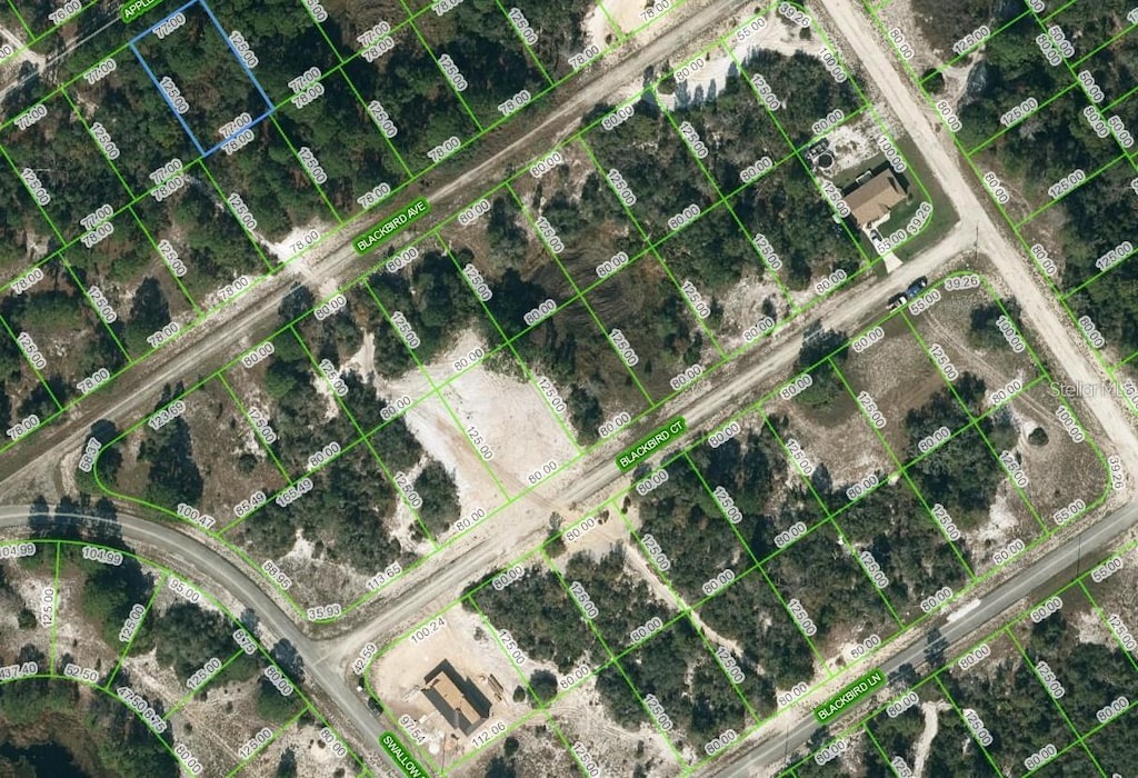 447 Apple Blossom Ct, Lake Placid, FL 33852 - photo 1