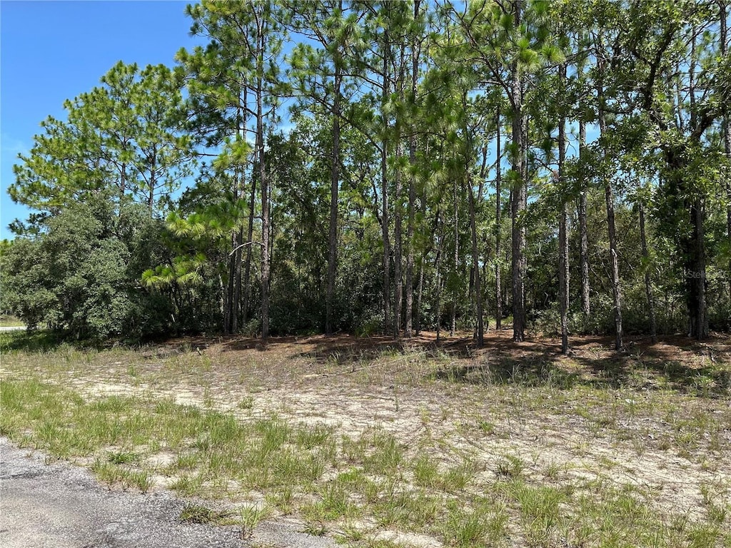 4053 W Firewood Loop, Citrus Springs, FL 34433