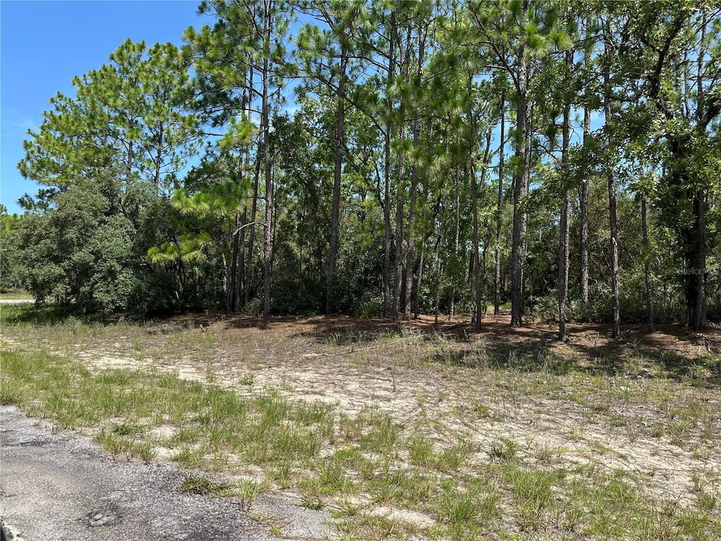 4053 W Firewood Loop, Citrus Springs, FL 34433