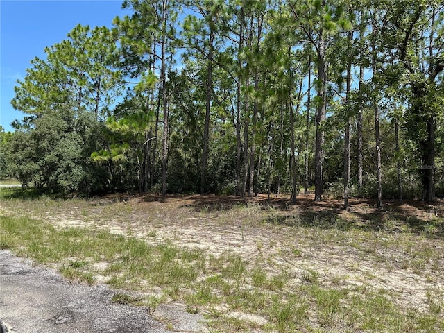 4053 W Firewood Loop, Citrus Springs, FL 34433