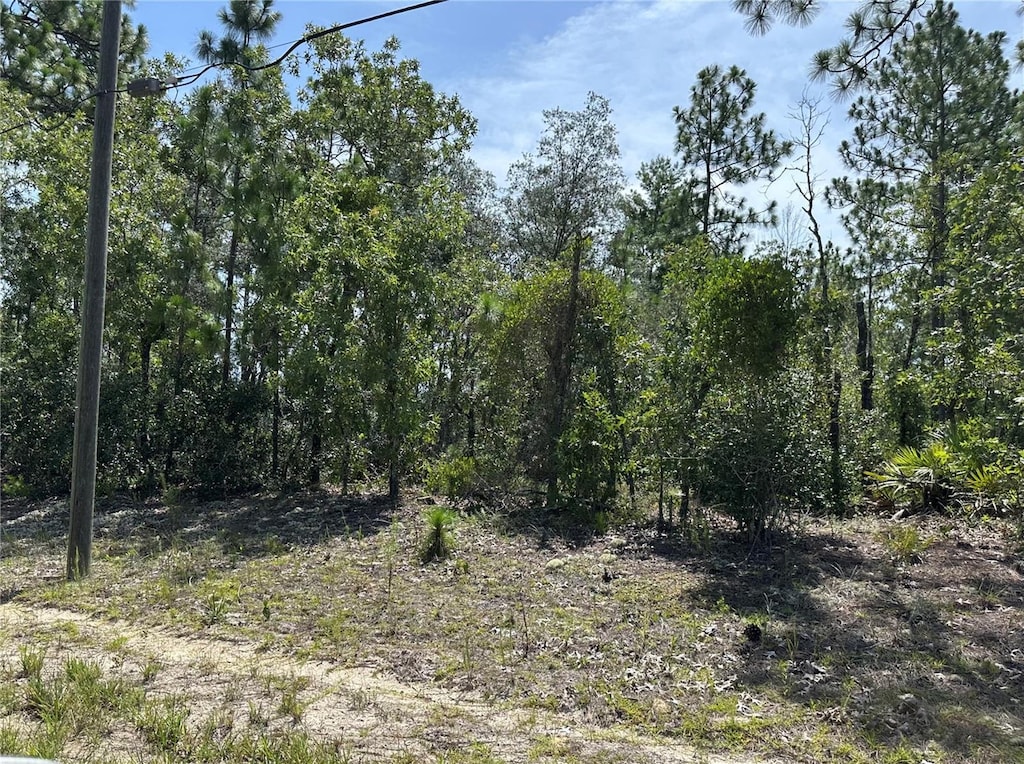 4053 W Firewood Loop, Citrus Springs, FL 34433