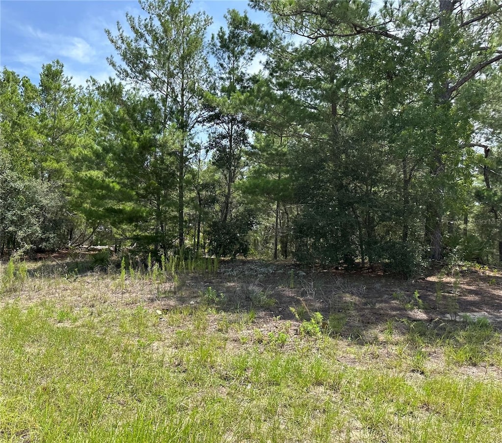 6202 N Mariner Ter, Citrus Springs, FL 34433