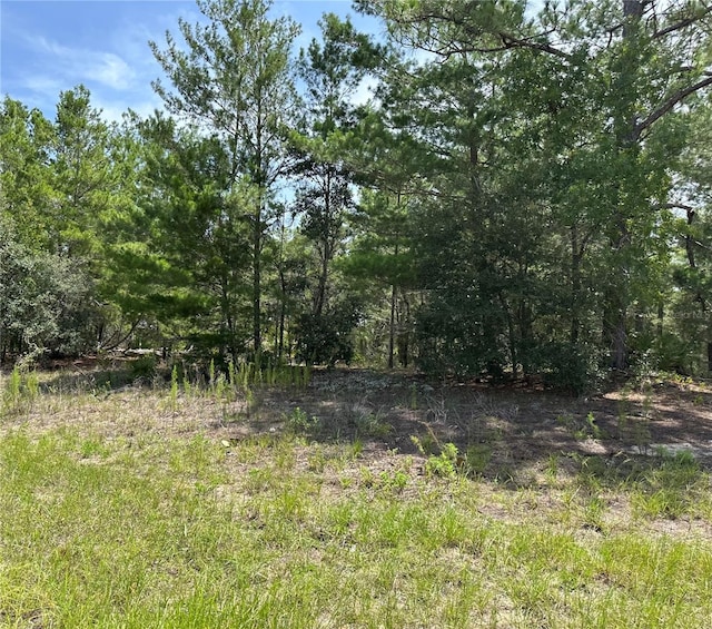 6202 N Mariner Ter, Citrus Springs, FL 34433