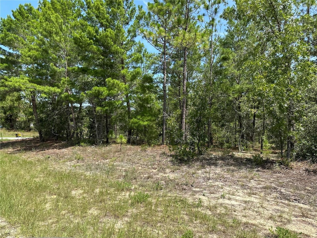 6202 N Mariner Ter, Citrus Springs, FL 34433
