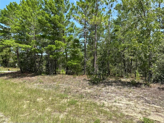 6202 N Mariner Ter, Citrus Springs, FL 34433