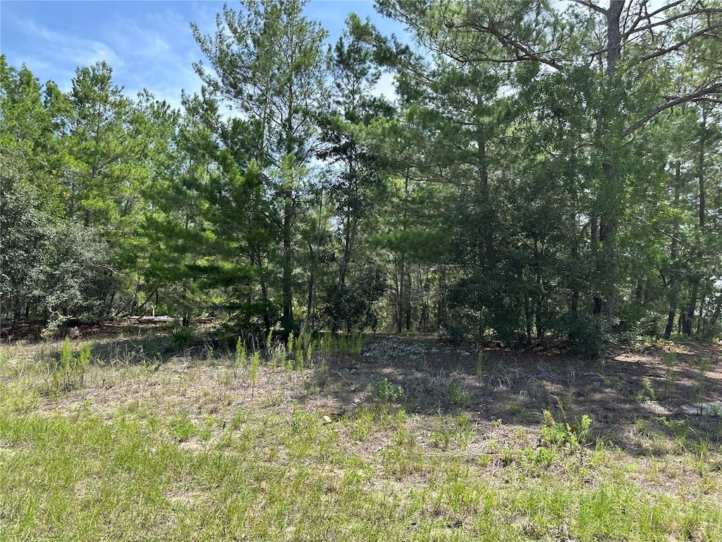 6202 N Mariner Ter, Citrus Springs, FL 34433