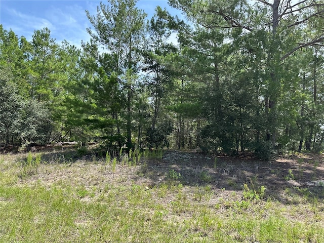 6202 N Mariner Ter, Citrus Springs, FL 34433