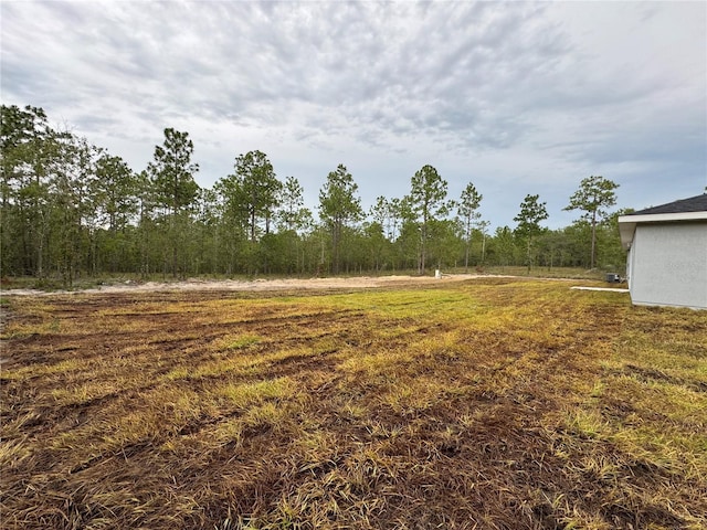 452 NW Crocus Ln, Dunnellon, FL 34431 - photo 4
