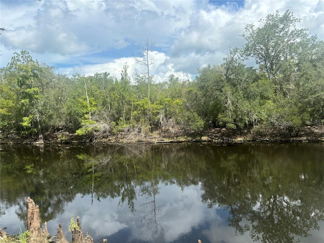 3599 E Westcove Ct, Dunnellon, FL 34434 - photo 7