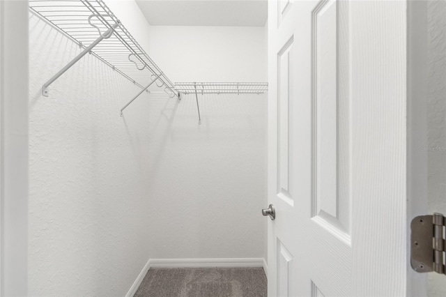 14305 SE 26th Ter, Summerfield, FL 34491 - photo 12