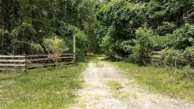8530 NE 160th Ave, Williston, FL 32696 - photo 2