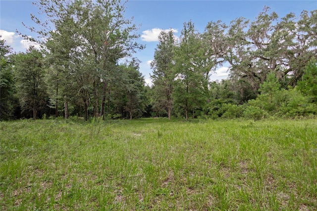 8530 NE 160th Ave, Williston, FL 32696 - photo 38