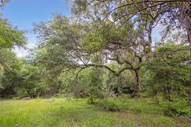 8530 NE 160th Ave, Williston, FL 32696 - photo 39