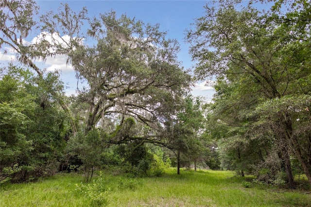 8530 NE 160th Ave, Williston, FL 32696 - photo 40