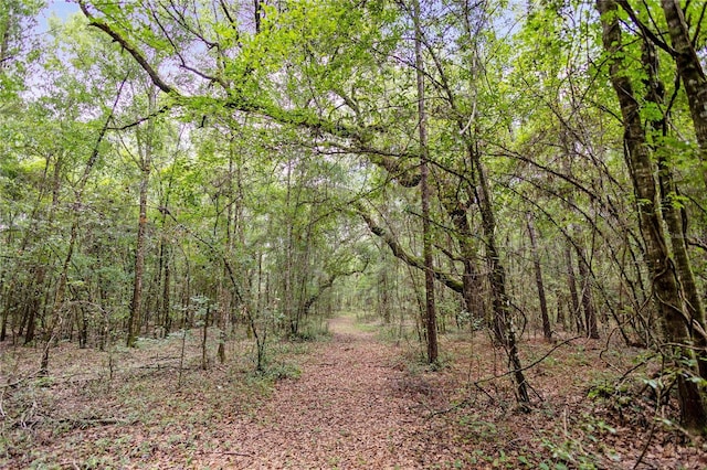 8530 NE 160th Ave, Williston, FL 32696 - photo 41