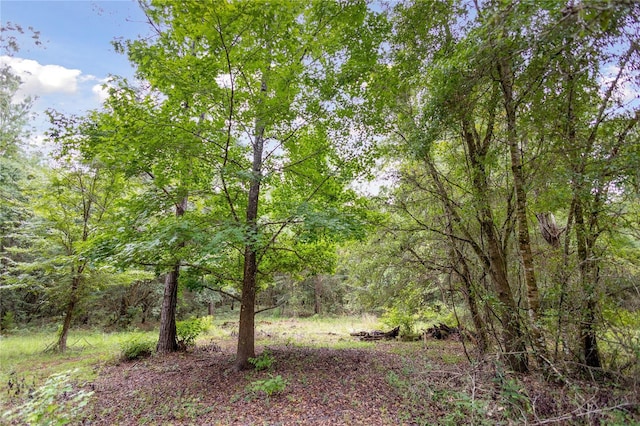 8530 NE 160th Ave, Williston, FL 32696 - photo 45