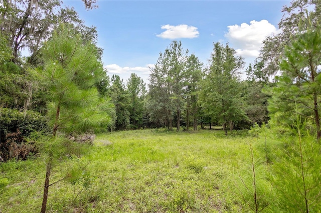 8530 NE 160th Ave, Williston, FL 32696 - photo 47