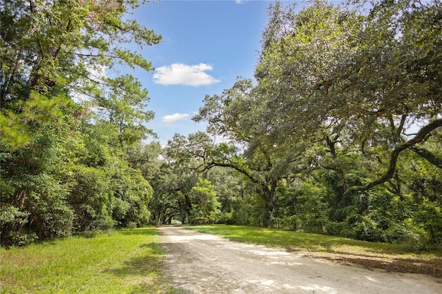 8530 NE 160th Ave, Williston, FL 32696 - photo 52