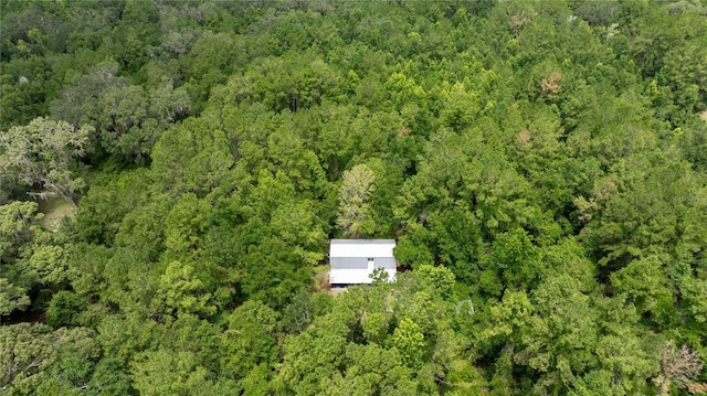 8530 NE 160th Ave, Williston, FL 32696 - photo 60