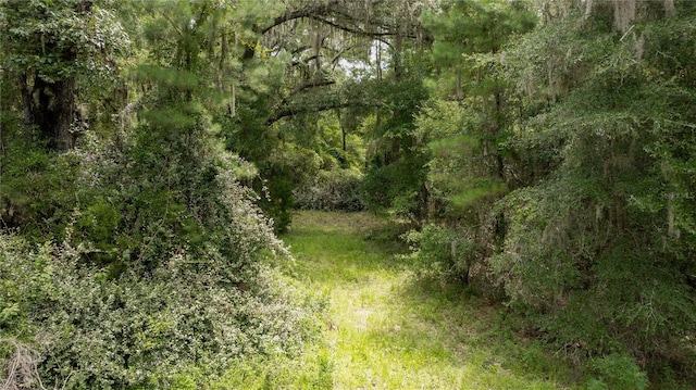 8530 NE 160th Ave, Williston, FL 32696 - photo 61