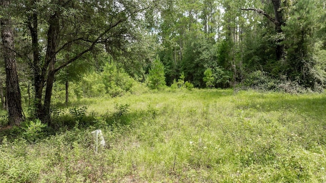 8530 NE 160th Ave, Williston, FL 32696 - photo 62