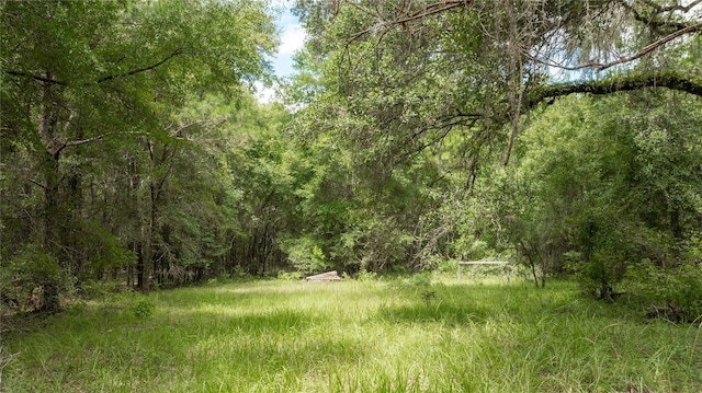 8530 NE 160th Ave, Williston, FL 32696 - photo 64