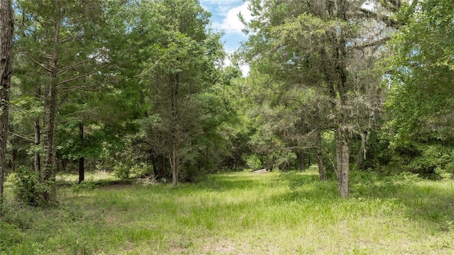 8530 NE 160th Ave, Williston, FL 32696 - photo 65
