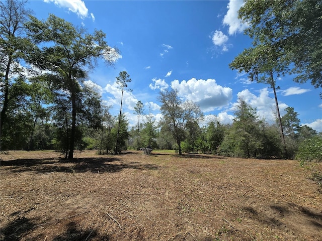 7158 N Lecanto Hwy, Hernando, FL 34442