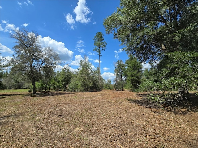 7158 N Lecanto Hwy, Hernando, FL 34442