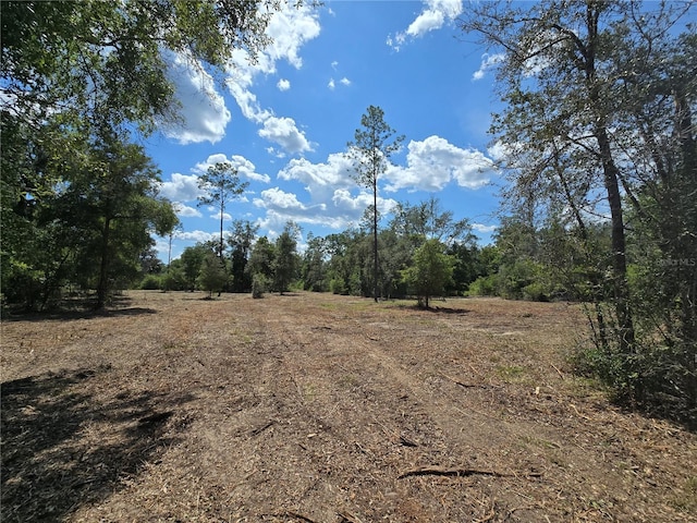 7158 N Lecanto Hwy, Hernando, FL 34442