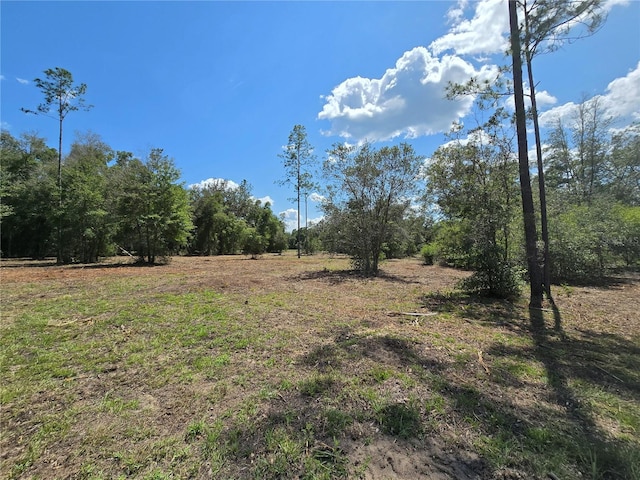7158 N Lecanto Hwy, Hernando, FL 34442