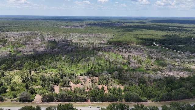7158 N Lecanto Hwy, Hernando, FL 34442