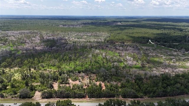 7158 N Lecanto Hwy, Hernando, FL 34442