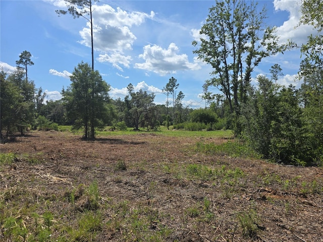 7158 N Lecanto Hwy, Hernando, FL 34442