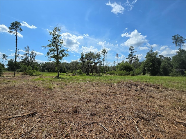 7158 N Lecanto Hwy, Hernando, FL 34442