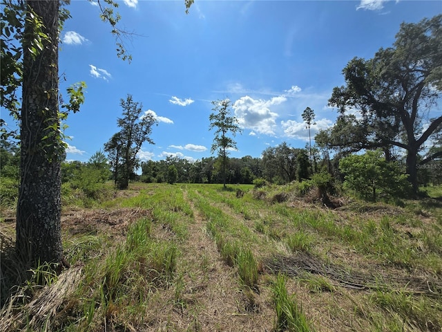 7158 N Lecanto Hwy, Hernando, FL 34442