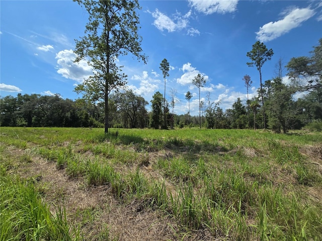 7158 N Lecanto Hwy, Hernando, FL 34442