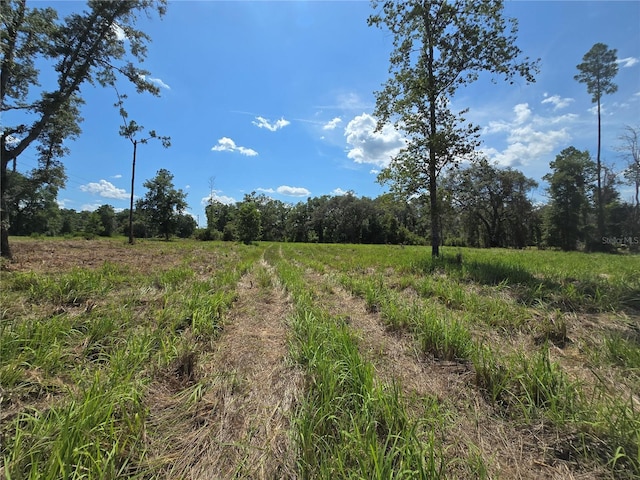 7158 N Lecanto Hwy, Hernando, FL 34442