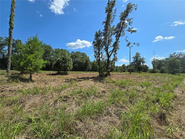 7158 N Lecanto Hwy, Hernando, FL 34442