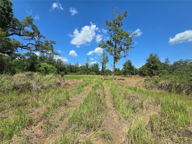 7158 N Lecanto Hwy, Hernando, FL 34442