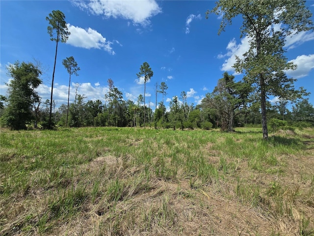 7158 N Lecanto Hwy, Hernando, FL 34442