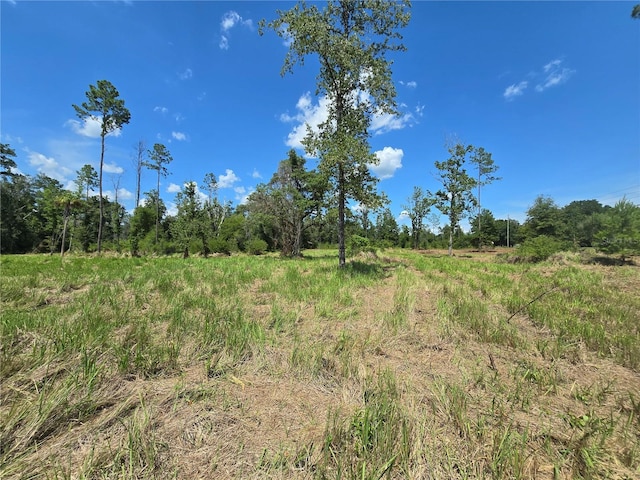 7158 N Lecanto Hwy, Hernando, FL 34442