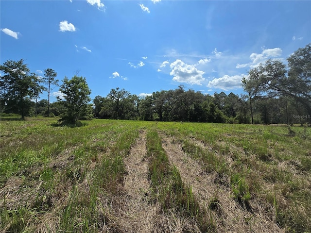 7158 N Lecanto Hwy, Hernando, FL 34442